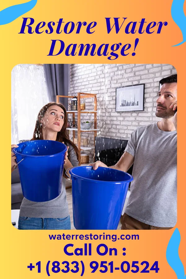 water restoration Quality Water Damage Team Maysville
