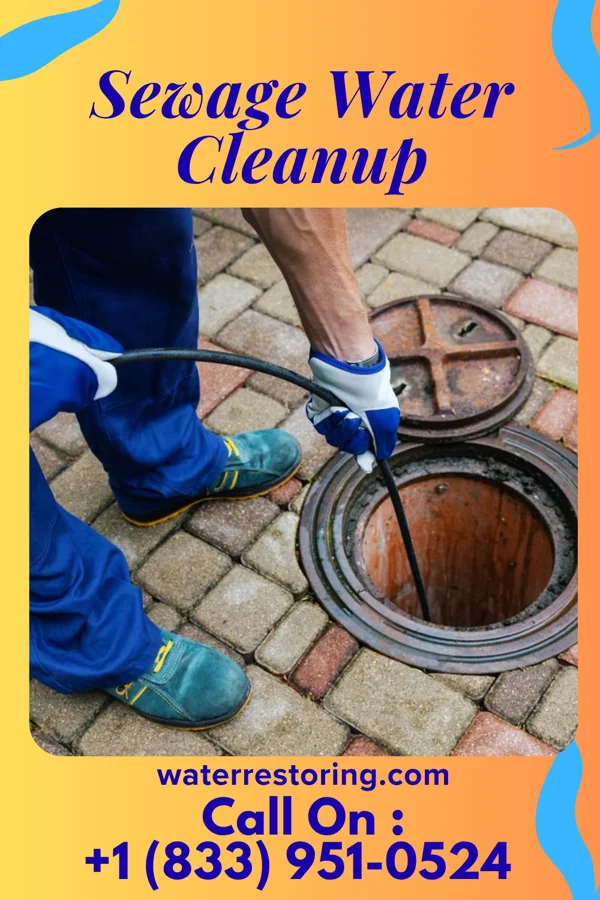 Sewage Water Cleanup in Maysville, KY