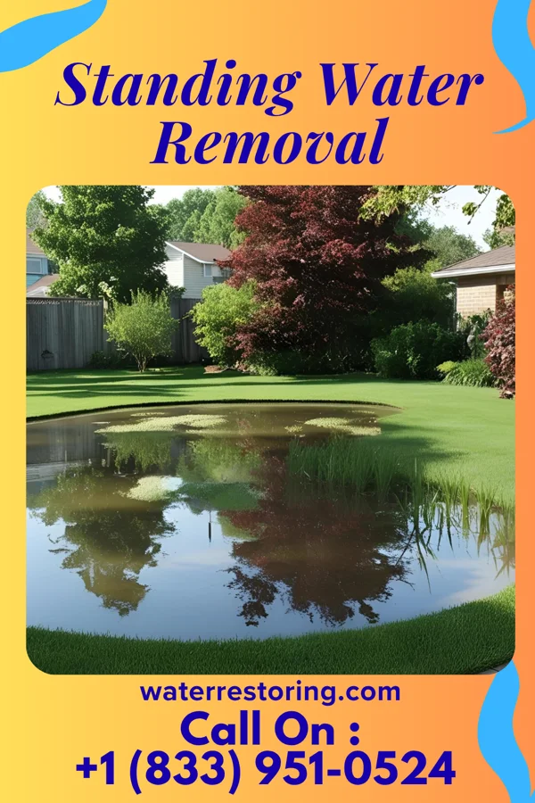 Standing Water Removal in Maysville, KY